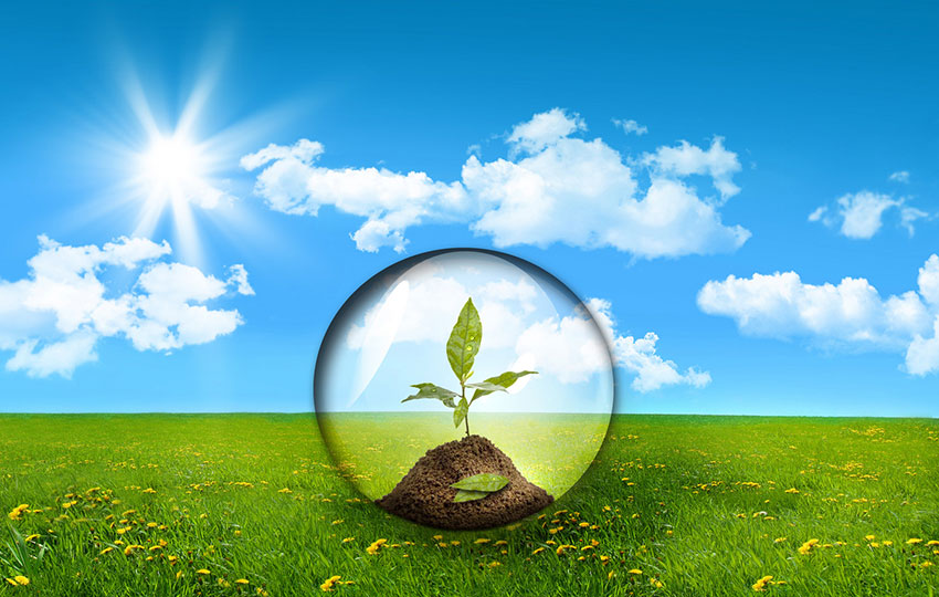 9. Personal Development for Green Entrepreneurs