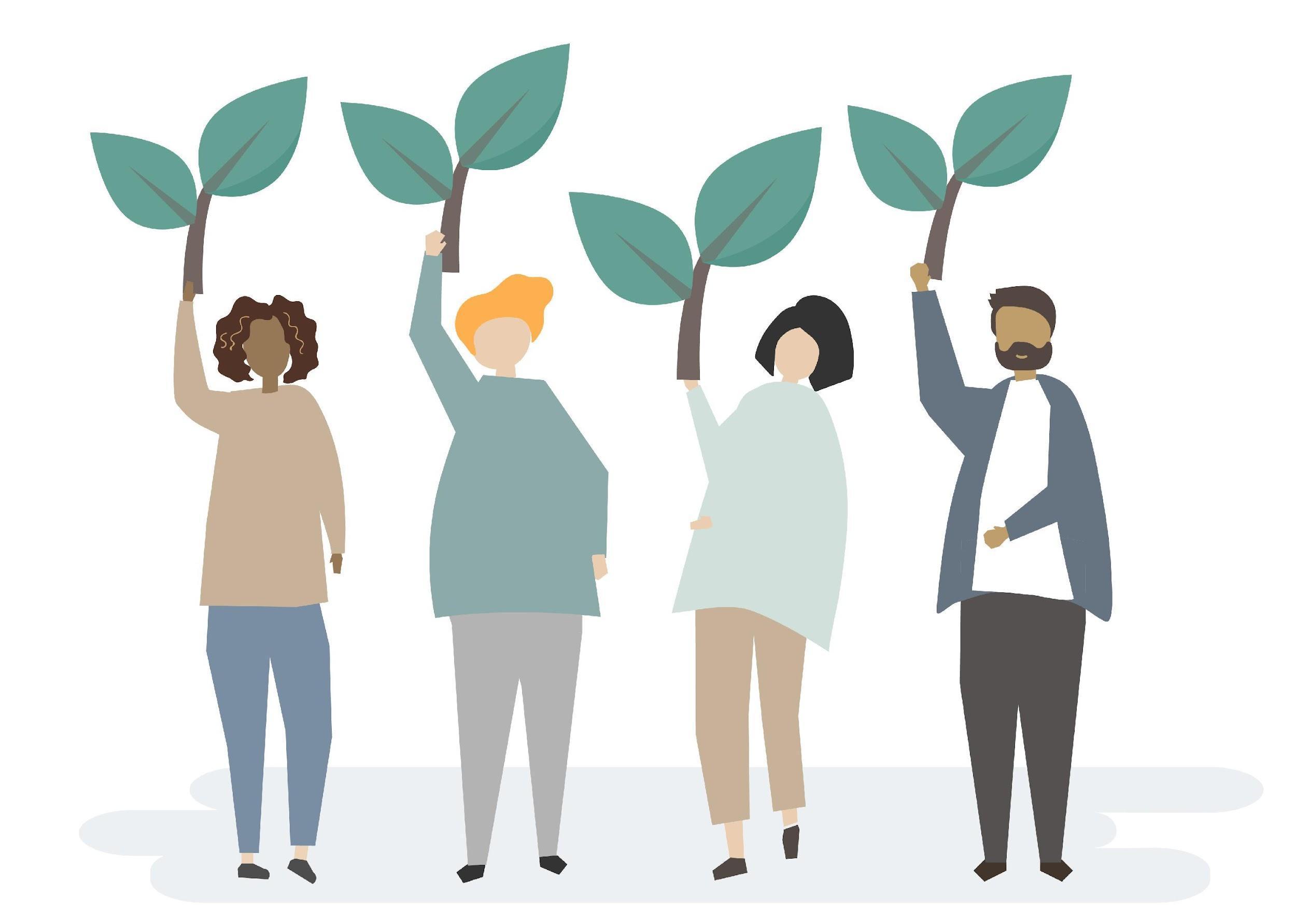 4. Mentors' Role in Scaling Green Businesses